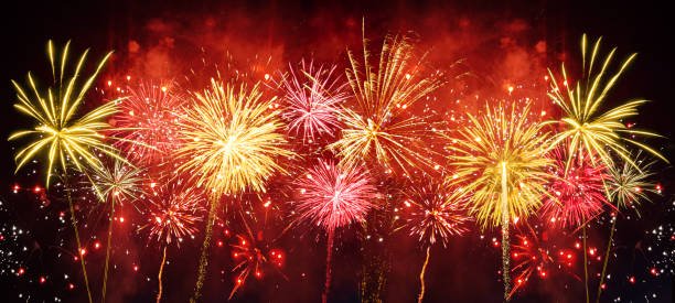 Digital Marketing Team